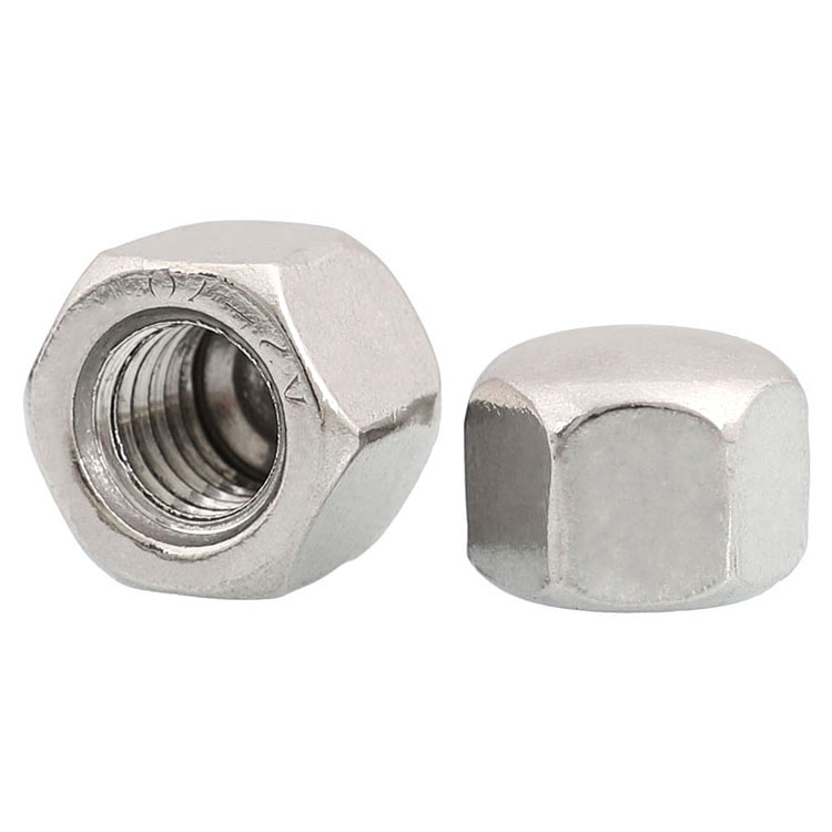 Hexagon Domed Cap Nut